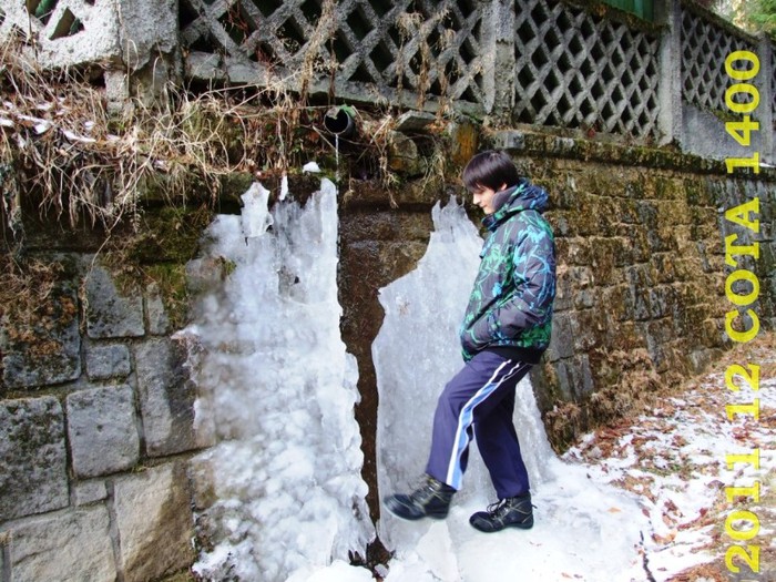 2011-12-28 COTA1400 144 - 2011 12 spre Sinaia