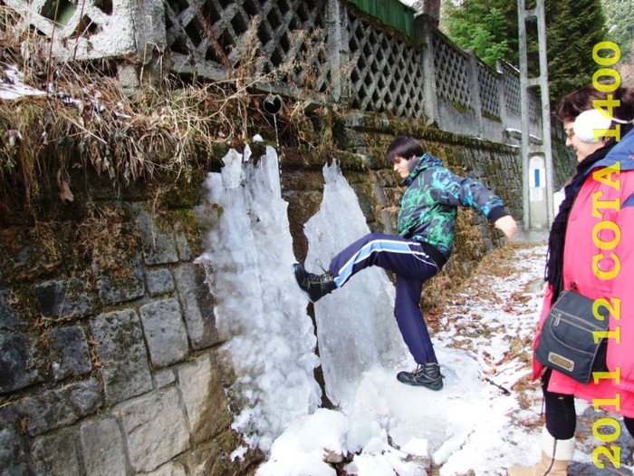 2011-12-28 COTA1400 145 - 2011 12 spre Sinaia