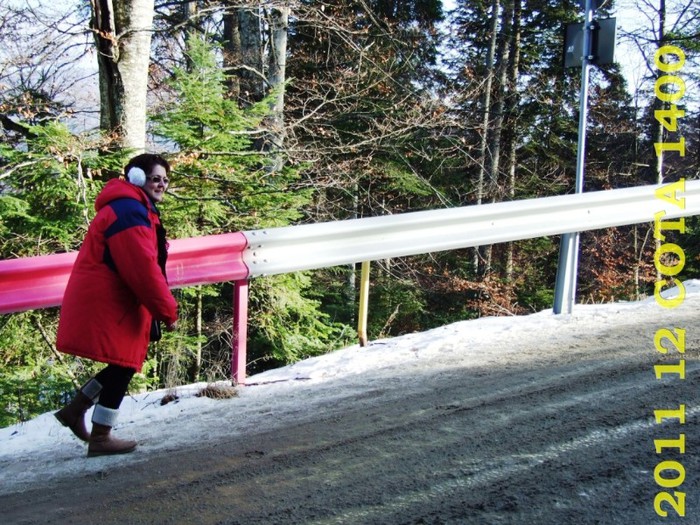 2011-12-28 COTA1400 148 - 2011 12 spre Sinaia