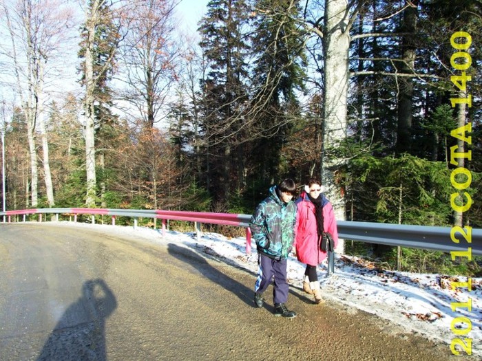 2011-12-28 COTA1400 151 - 2011 12 spre Sinaia