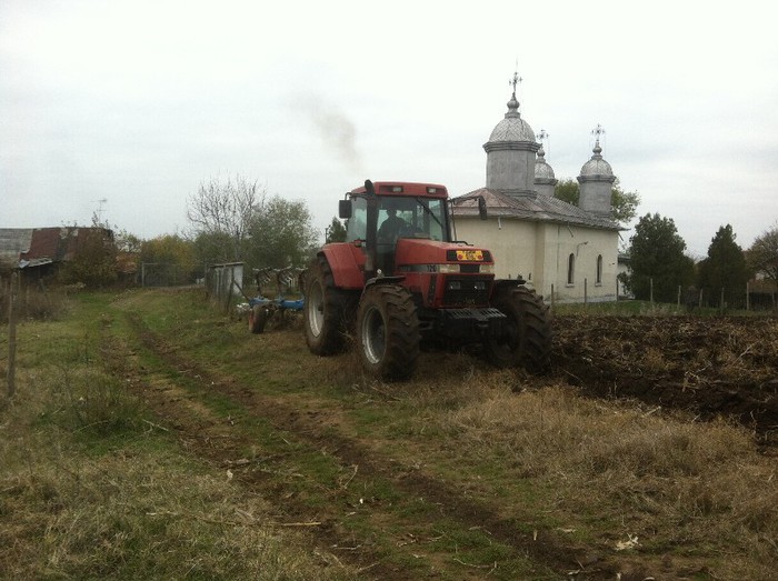 Micul Monstru - Toamna 2012