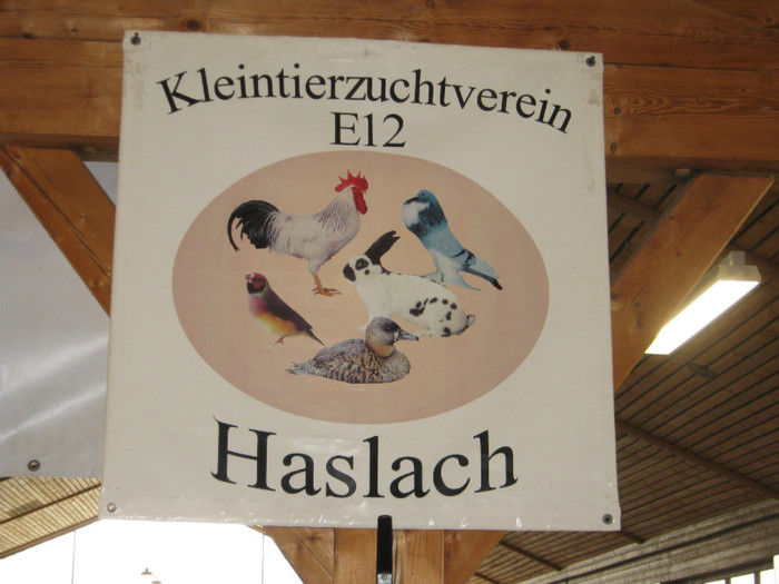 !8-nov-2012 - expo Haslak-Austria-Straubing-Germania- nov-20-21