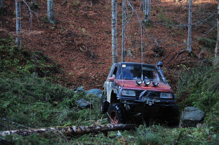 IMG_2554 - iesire campulung