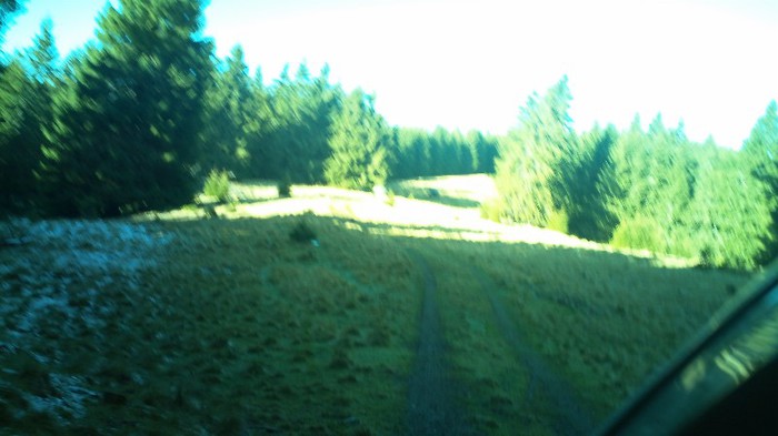 100_0044 - iesire campulung