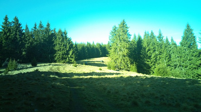 100_0045 - iesire campulung