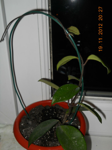 19.11.2012 008