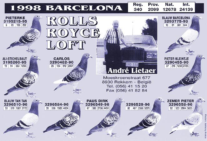 andre lietaer pigeons - 4-Andre Lietaer