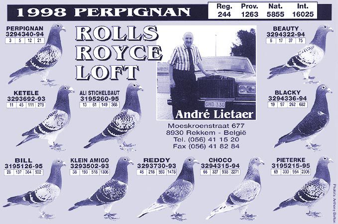 andre lietaer pigeons