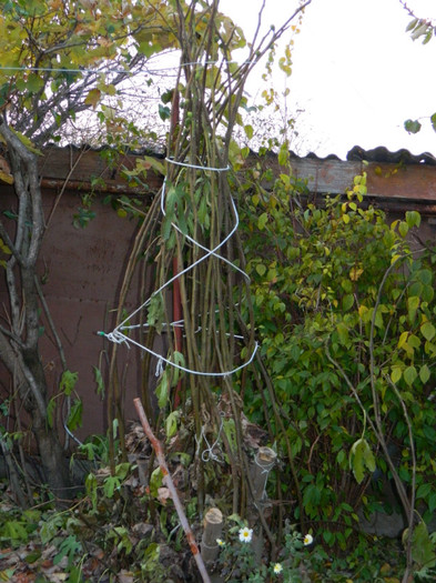 DSCN1974 - 2 NOIEMBRIE 2012