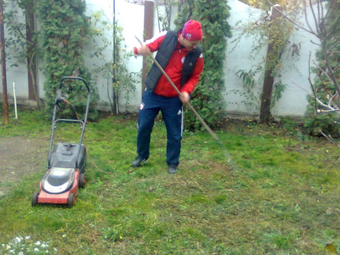curatenia de...toamna.. - MICUTA FERMA FRUMOASA