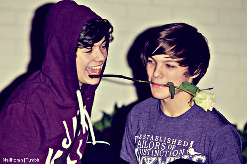 tumblr_lgizx8ynqS1qfdqsxo1_500 - harry si louis