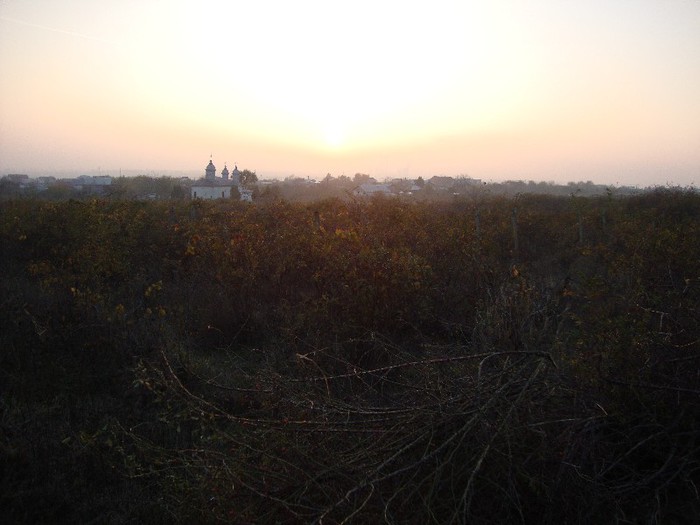 Via de langa; Aaceasta vie este langa via cumparata de mine este in acelasi hal in care a fost si via mea :) sper poate la anul sa o iau si pe aceasta
