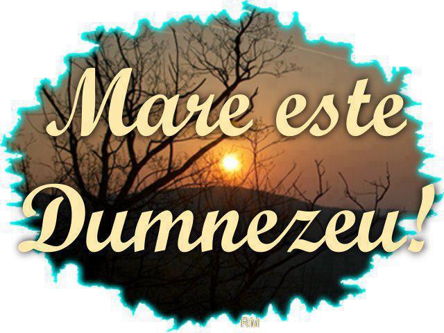 398933_186108368182043_2139522835_n - PENTRU MINE SI TINE