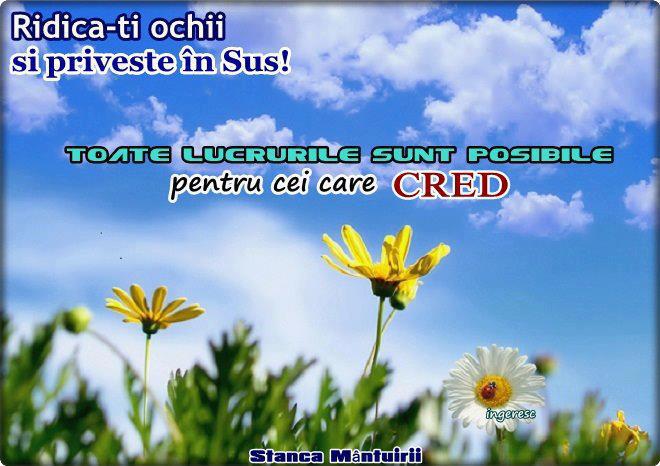 423888_349600461792490_255033317_n - PENTRU MINE SI TINE