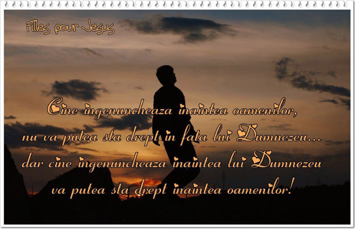 523082_347308688688334_1658085899_n - PENTRU MINE SI TINE