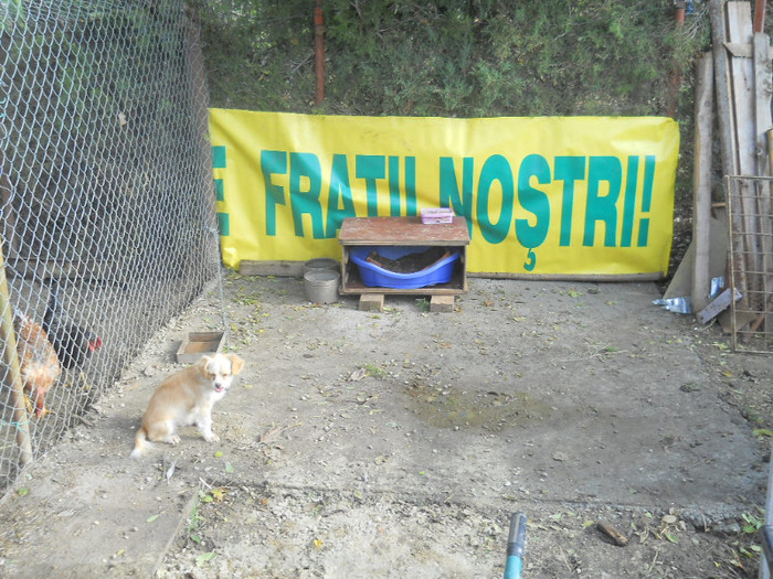 Danuta ,noua partenera a lui Felix