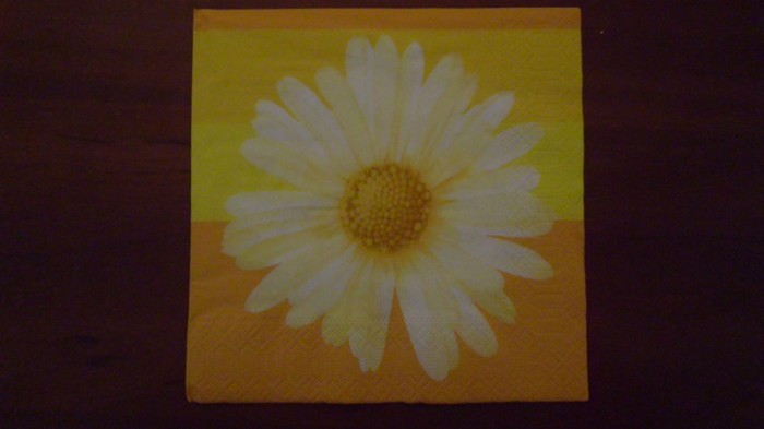 ioana25 - Colectia 1 de servetele de hartie - 500 bucati