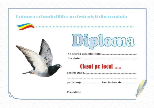 10 - diplome de vanzate