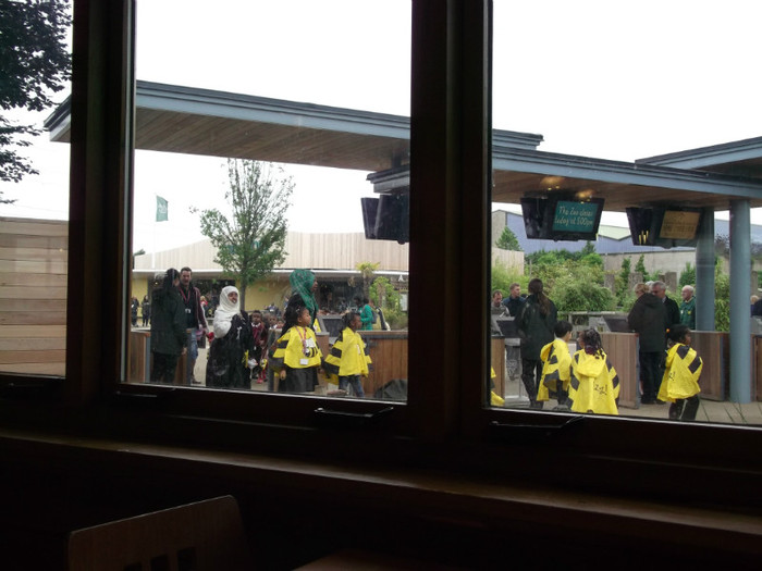 intrarea vazuta pe fereastra cafenelei - Chester_Zoo_Anglia