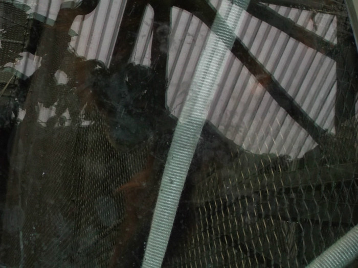 zoo 057 - Chester_Zoo_Anglia