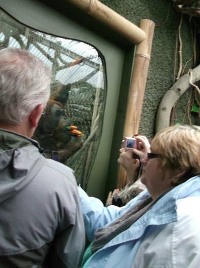 zoo 060 - Chester_Zoo_Anglia