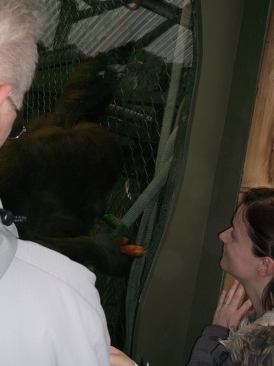 zoo 061 - Chester_Zoo_Anglia