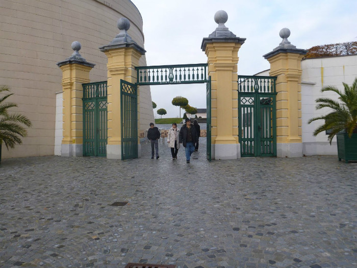 P1040081