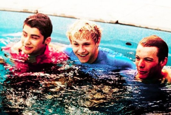 niall-zayn-louis-1d-vacanze-550x370