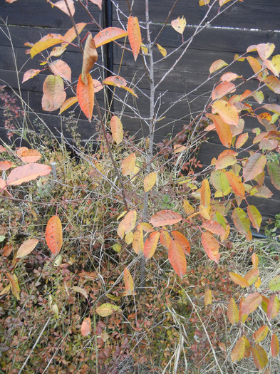 2012, November 22