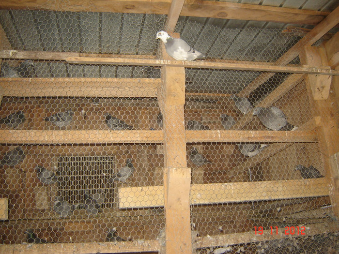 DSC03073; pripasita 2012
