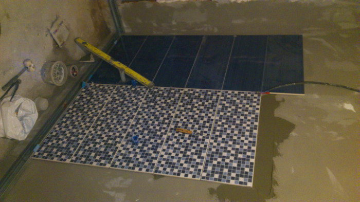 DSC_0011 - LUCRARILE  MELE