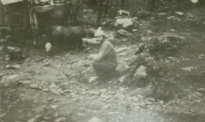 101_2460 Scroafa suge la vacuta ,purcelusi ls scrofita ..