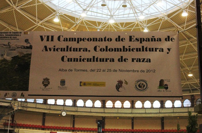 IMG_5830 - expo  Salamanca  2012