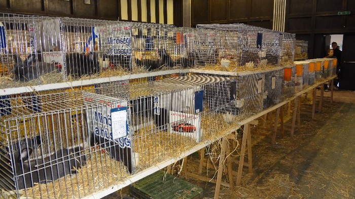 expo ungaria 2012 (120)