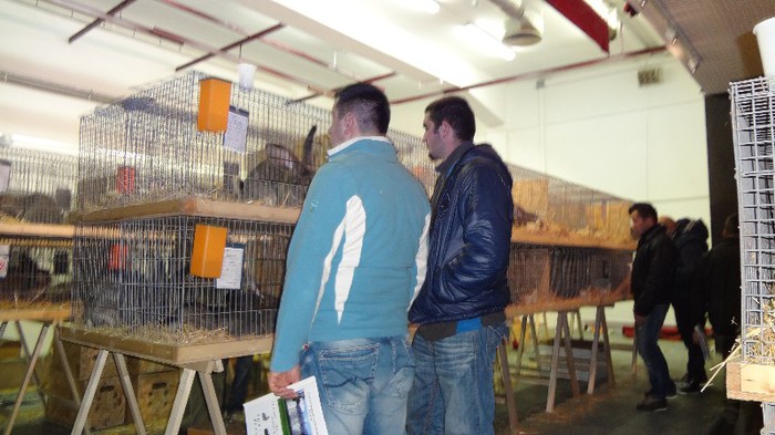 delegatia de la cluj