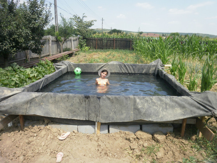 P7020186 - Piscina improvizata