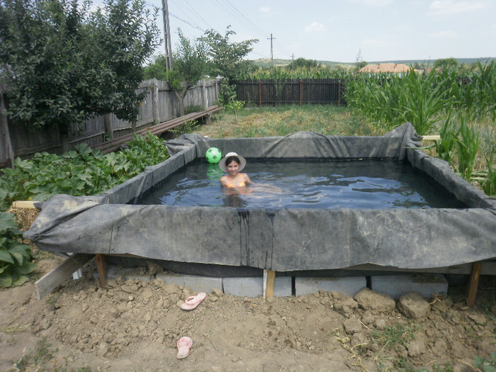 P7020187 - Piscina improvizata