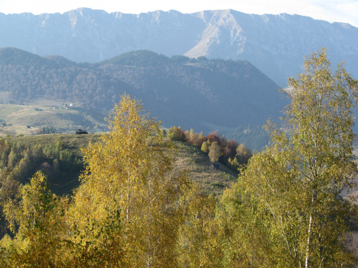 Piatra Craiului