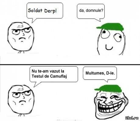 Derp_la_armata_Testul_de_camuflaj