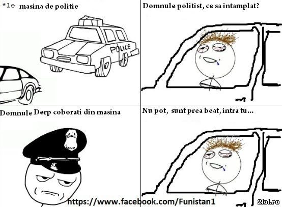 Derp_oprit_de_politie