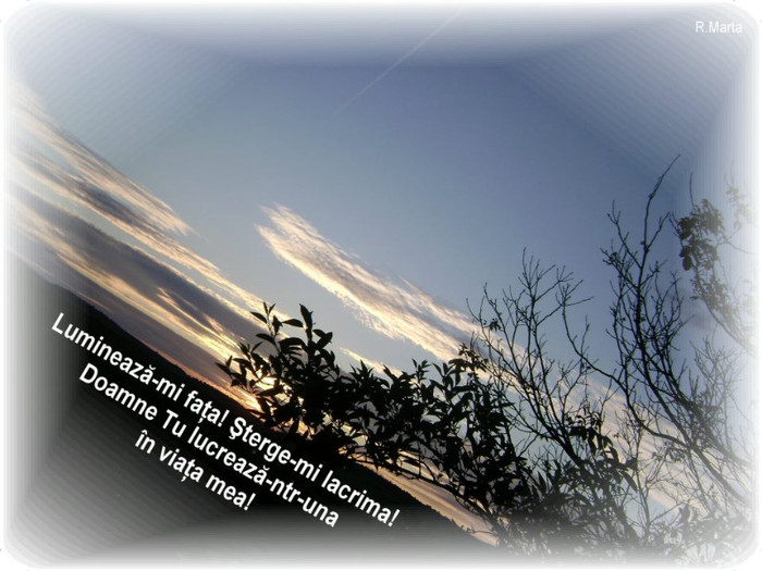 528626_340426429376560_780402409_n - PENTRU MINE SI TINE