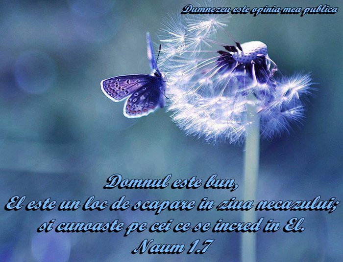 530218_357238191028717_2092891526_n - PENTRU MINE SI TINE