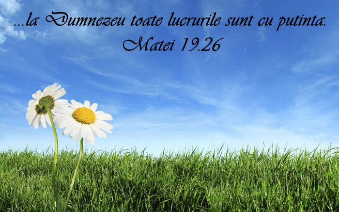 554833_347567041995832_1154018548_n - PENTRU MINE SI TINE