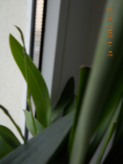 24.11.2012 025