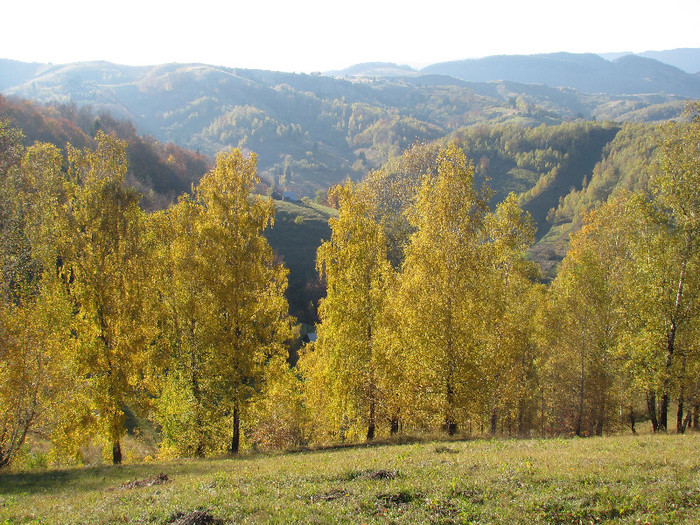 IMG_1879 - Vara - Toamna - Iarna in Transylvania