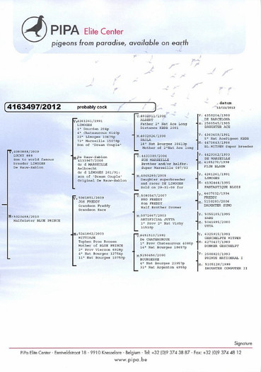 f 11 - NOI ACHIZITII part 7