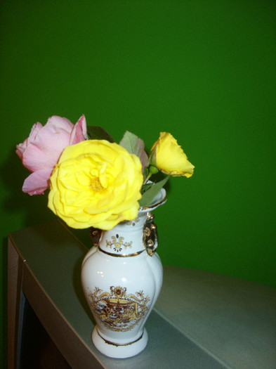 SDC10826 - Flori in vaza