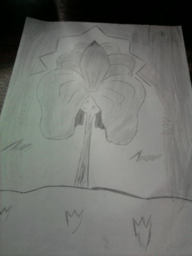 Fotografie2237 - desenele lui lori