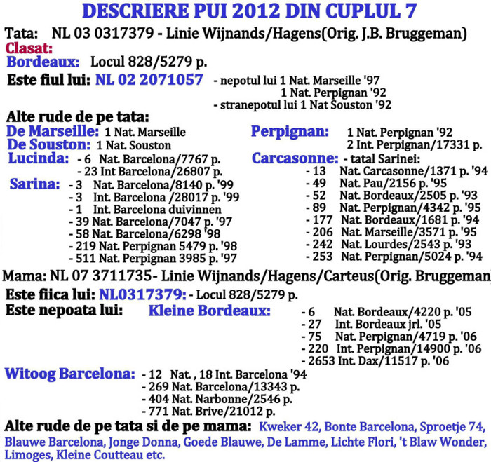 Descriere pui 2016 din cuplul 4 - CUPLURI 2016 - IN LUCRU