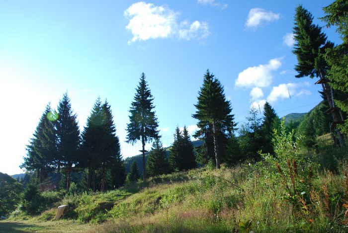 DSC_0490 - RETEZAT 2012